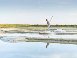 marais salants de guérande