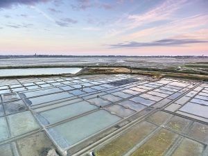 marais salants de guérande